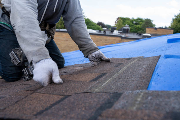 Best New Roof Installation  in Bayou Country Clu, LA